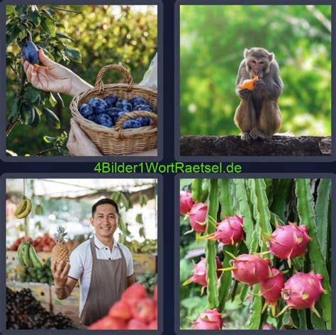 4 bilder 1 wort 1x1|4 Bilder 1 Wort Lösungen .